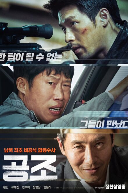 Poster for Confidential Assignment (2017)