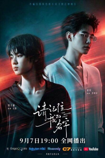 Poster for The Missing Piece (2026)
